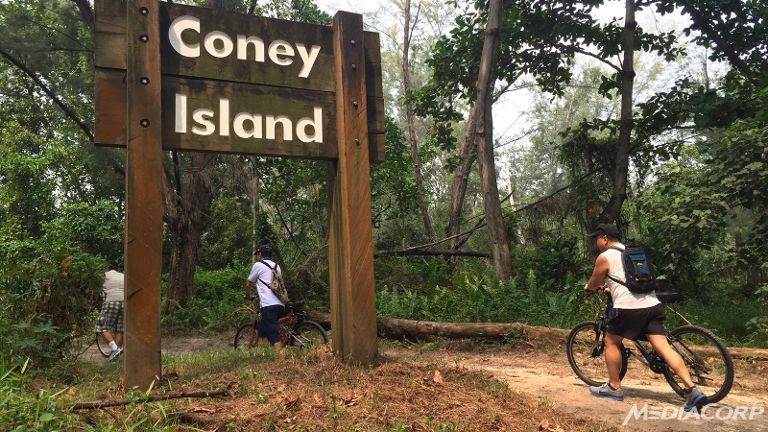 coney island park